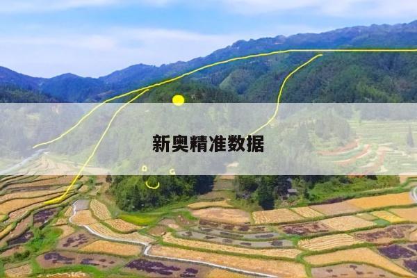 新奥精准数据/新奥在线测评